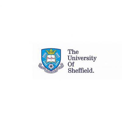 University of Sheffield