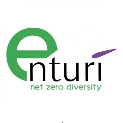 Enturi Solutions